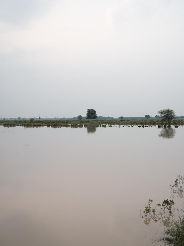 Near Sherpur Neri II