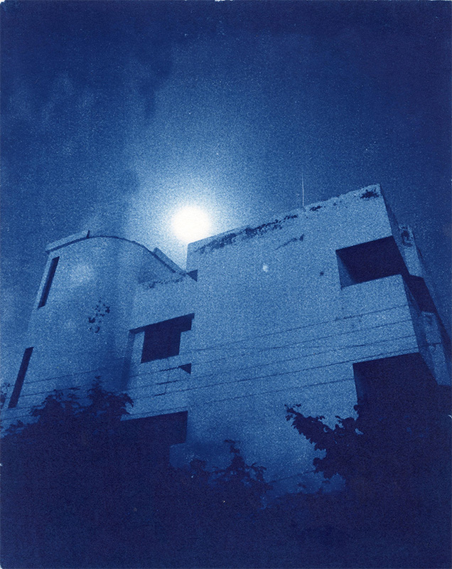 Cyanotype IV