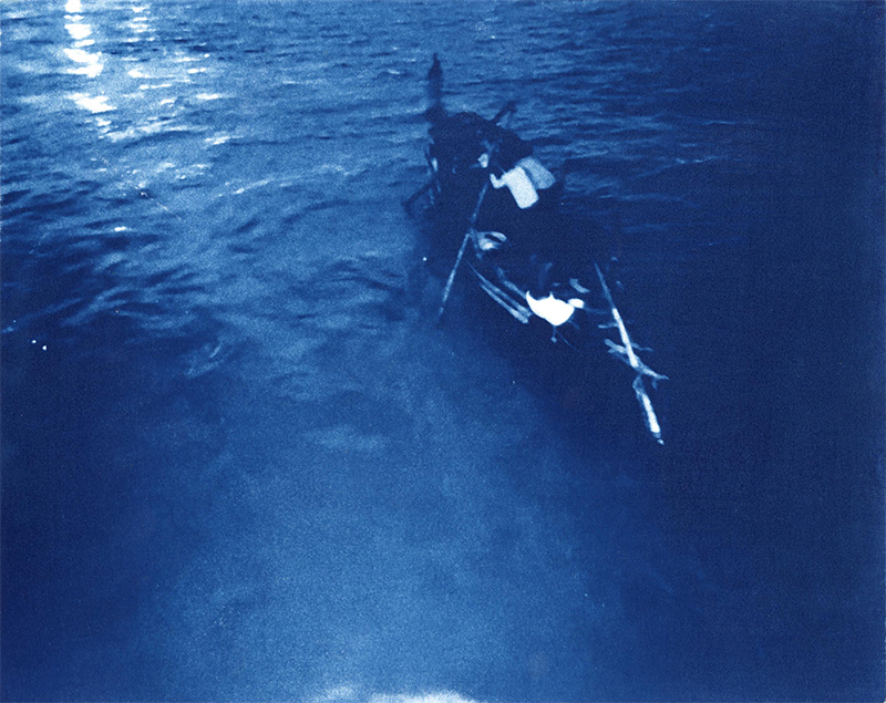 Cyanotype I