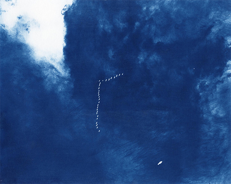 Cyanotype II