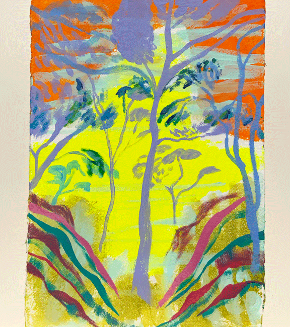 Cliff top pines